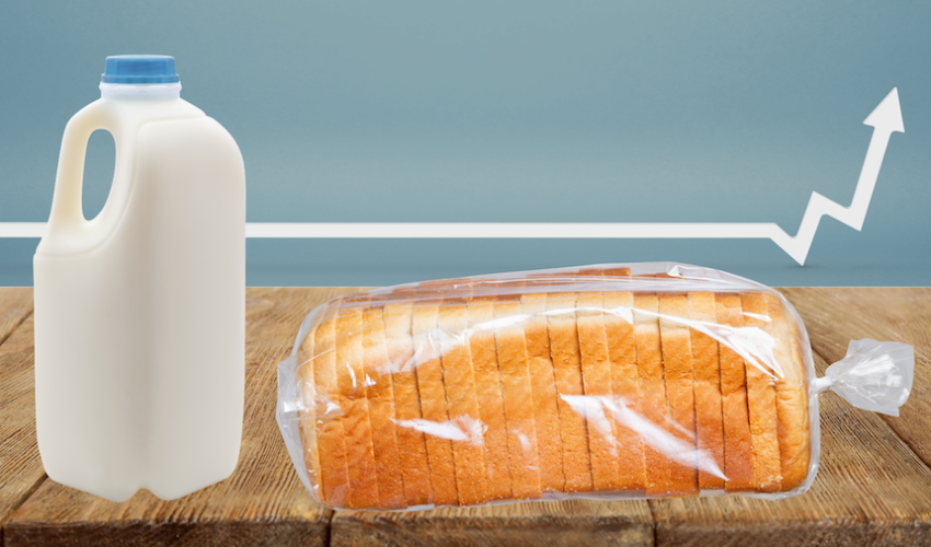 Milk and bread v2