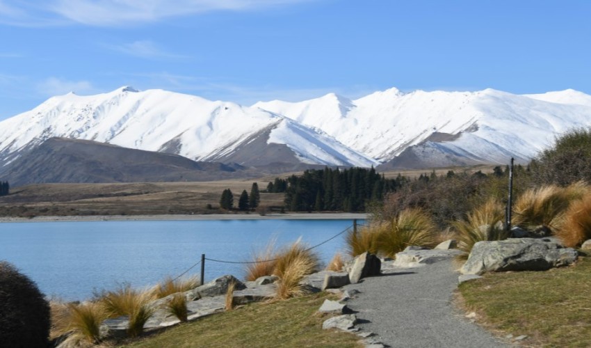 Path to prosperity Sam blog Jun25
